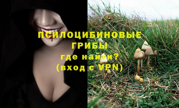 jwh Алзамай