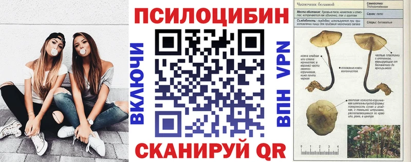 Псилоцибиновые грибы Cubensis  Купить закладки  Чебоксары 